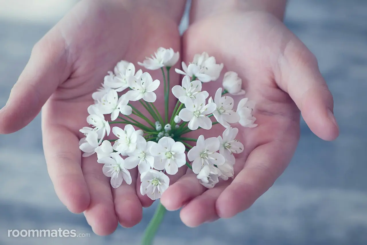 Profile photo 6 of 6