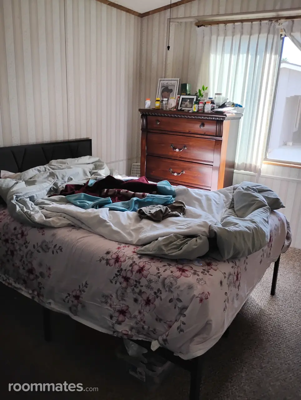 Profile photo 3 of 10