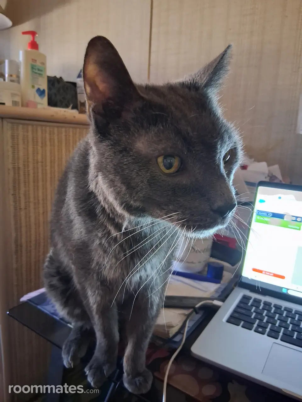 Profile photo 7 of 10