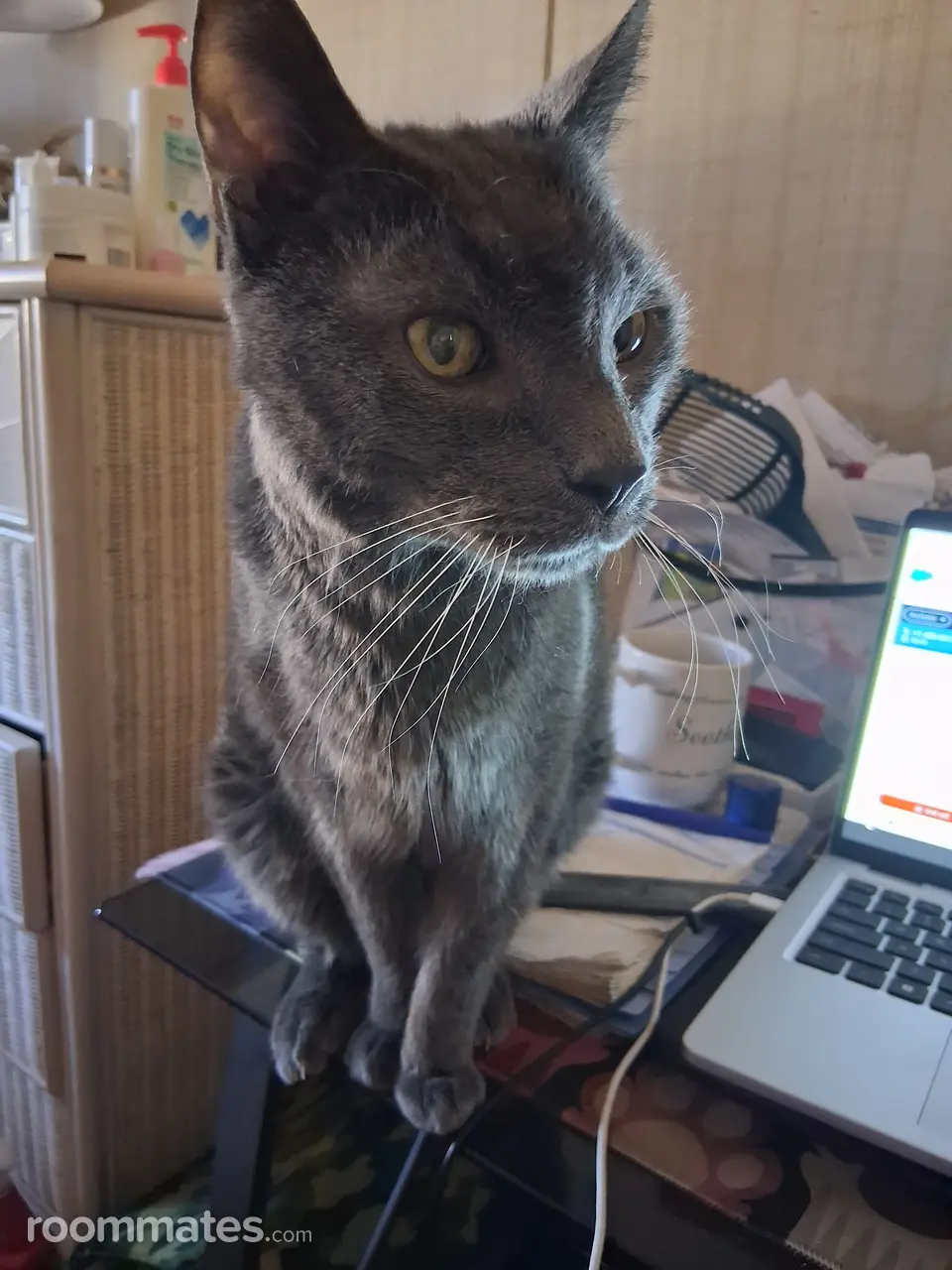 Profile photo 9 of 10