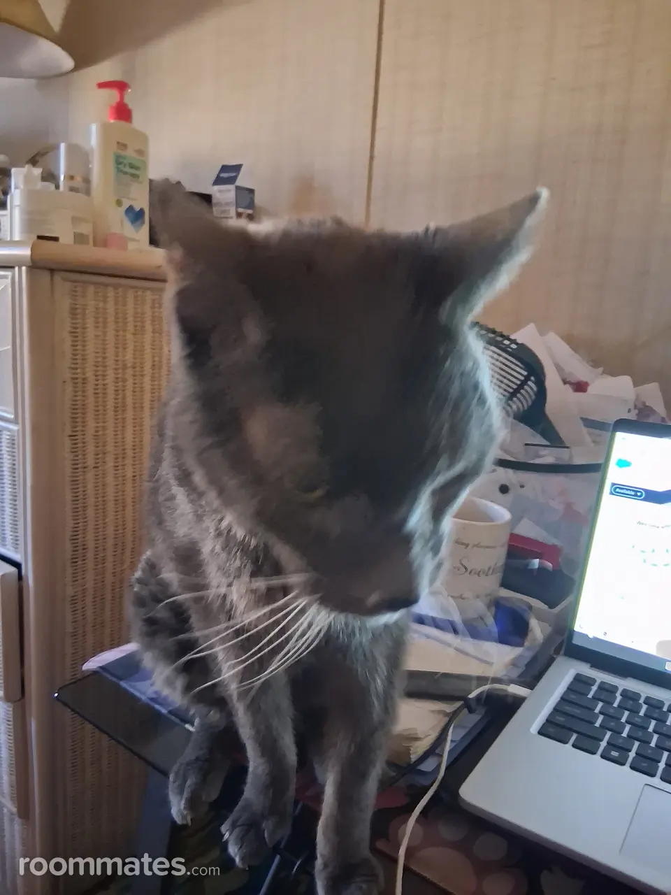 Profile photo 10 of 10