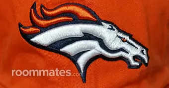 Roommate looking Lexington, KY, $800