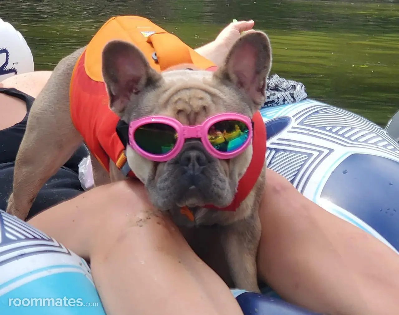 Profile photo 5 of 9