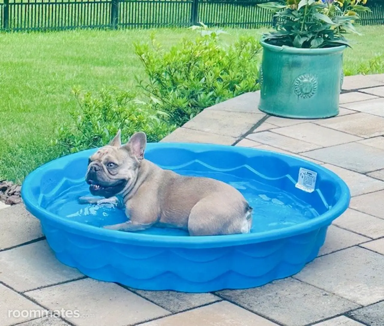 Profile photo 2 of 9