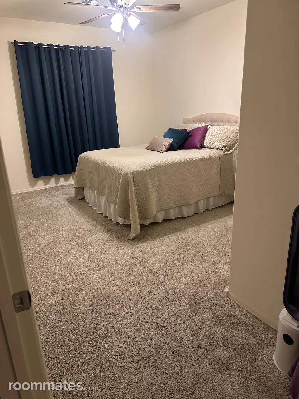 Profile photo 2 of 11