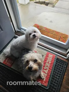 Room for rent in Columbus, OH $750, house