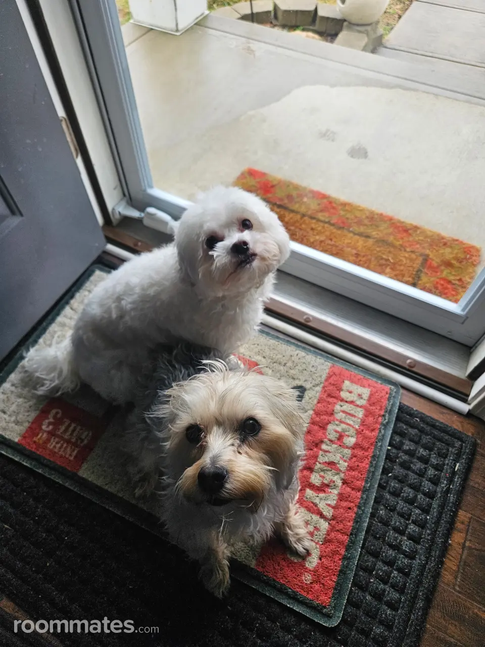 Profile photo 1 of 11