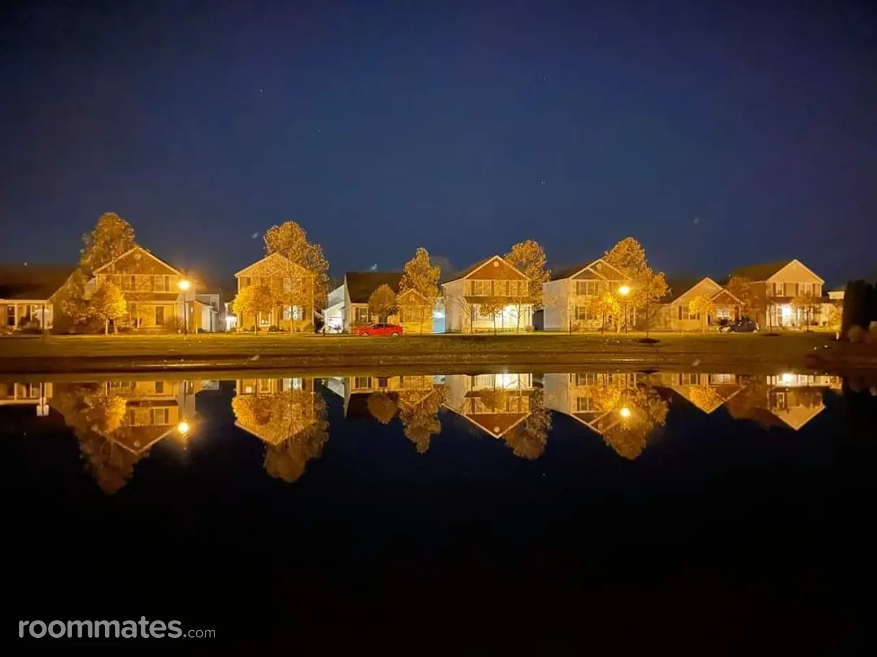 Profile photo 2 of 11