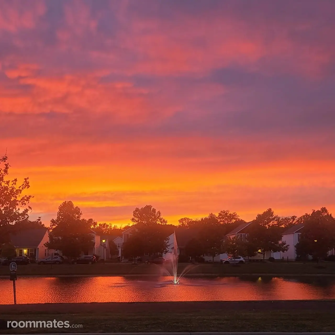 Profile photo 5 of 11