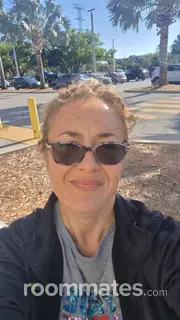 Roommate looking Clearwater, FL, $900
