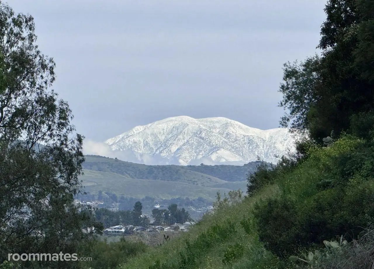 Profile photo 1 of 1