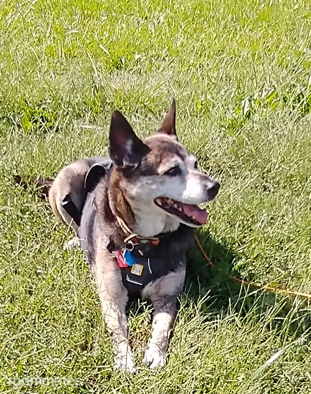 Profile photo 4 of 5