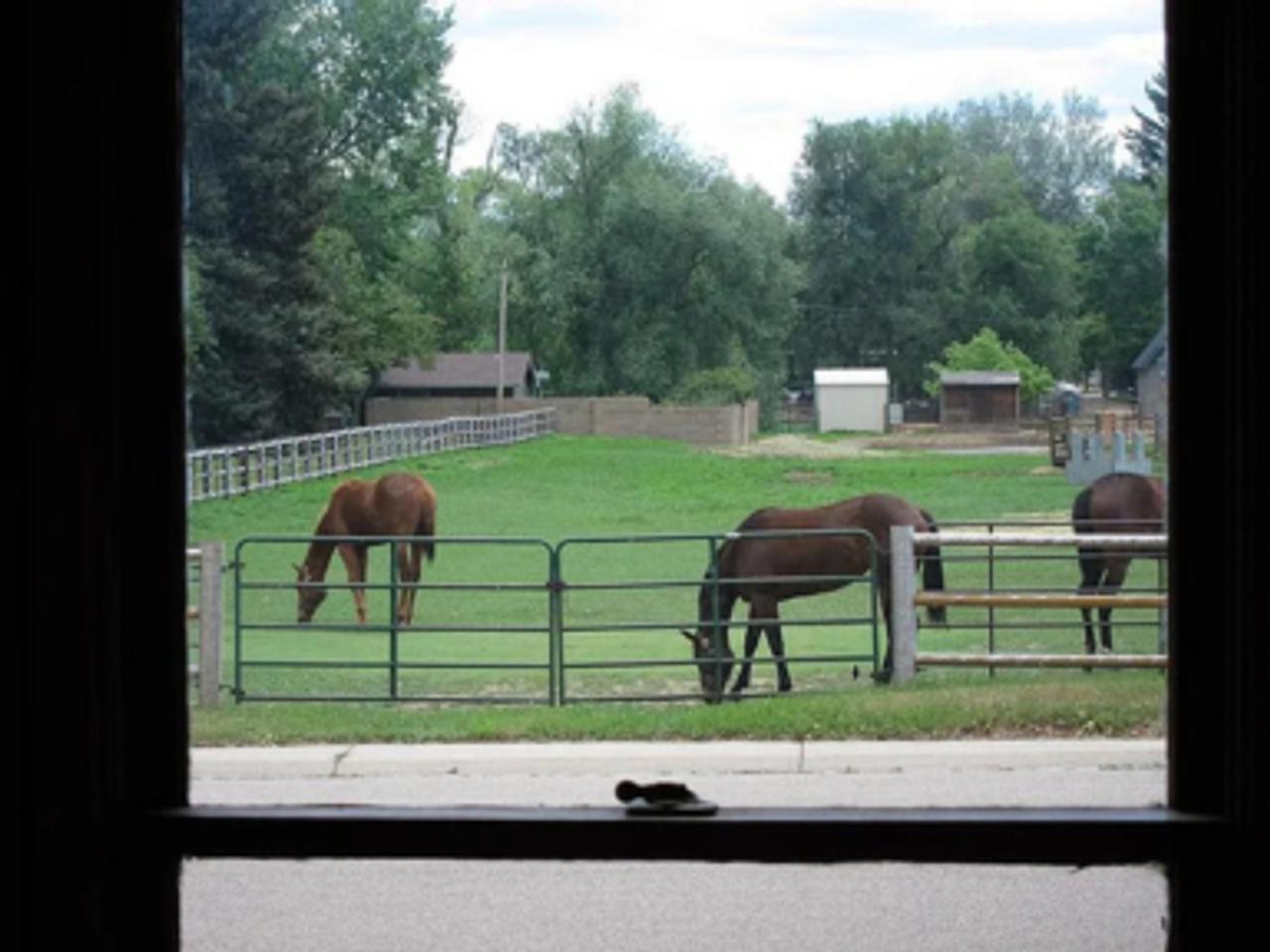 Profile photo 8 of 10