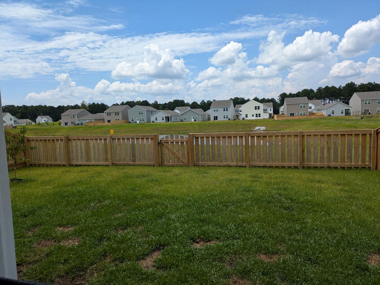 Profile photo 4 of 11