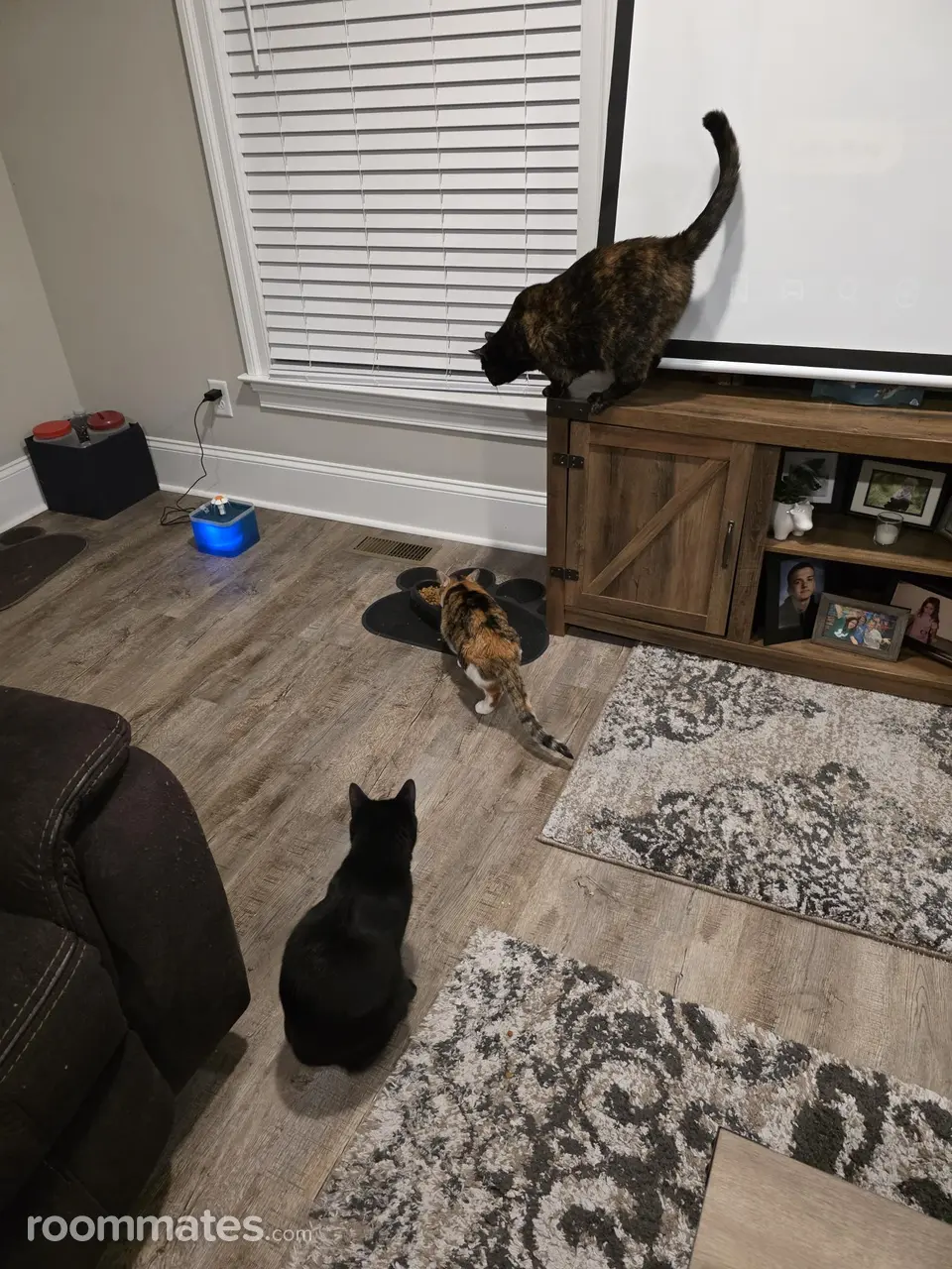 Profile photo 3 of 15