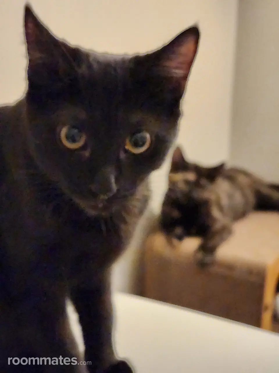 Profile photo 14 of 15