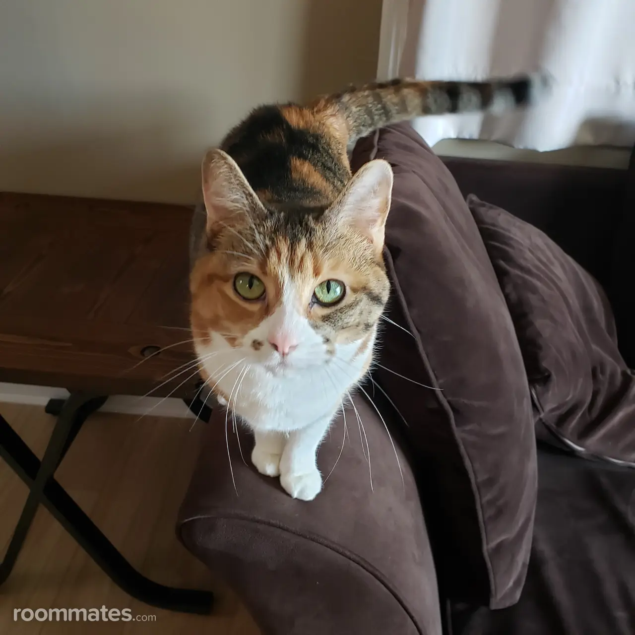 Profile photo 12 of 15