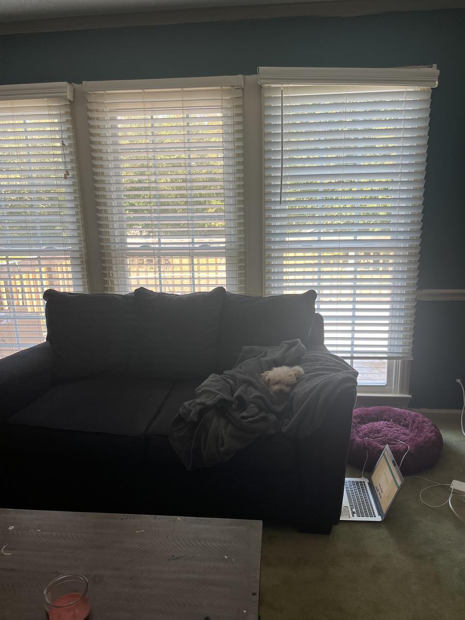 Profile photo 5 of 11