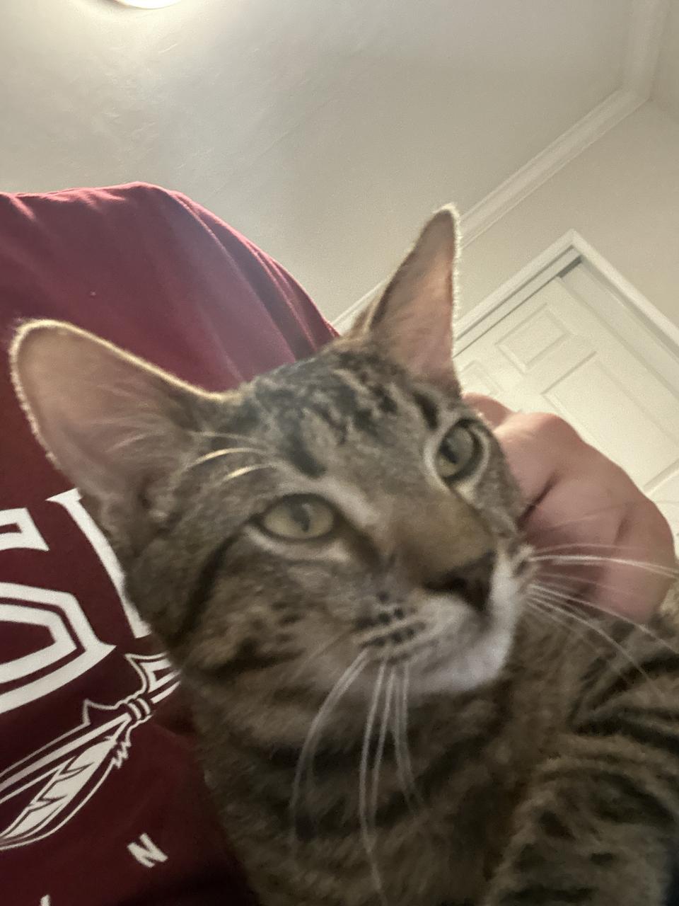 Profile photo 6 of 10