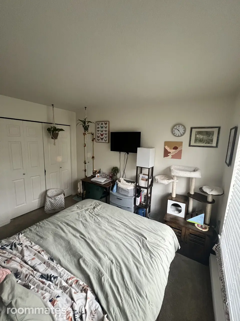 Profile photo 1 of 10