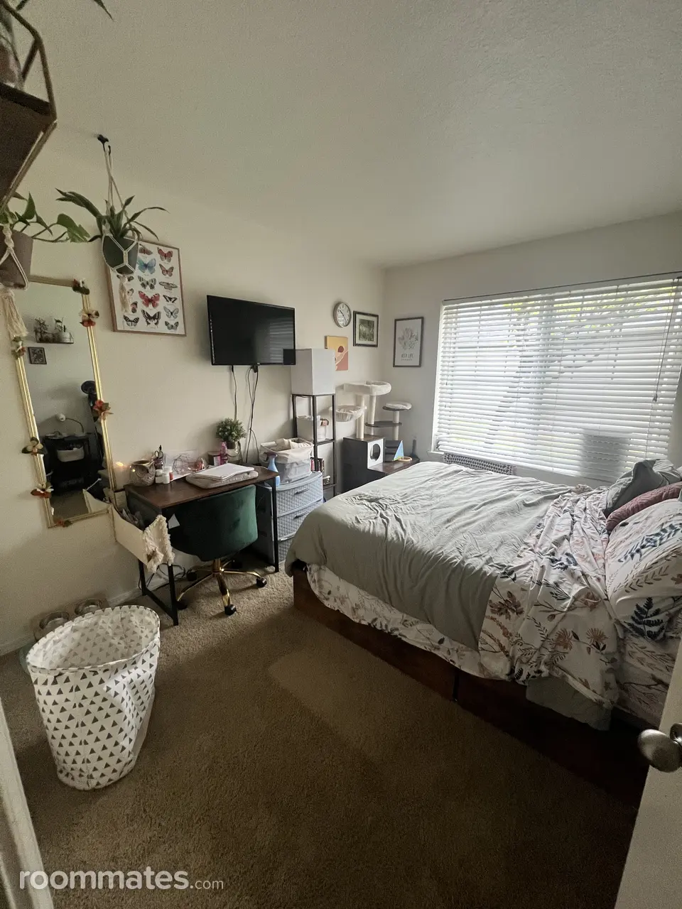 Profile photo 3 of 10