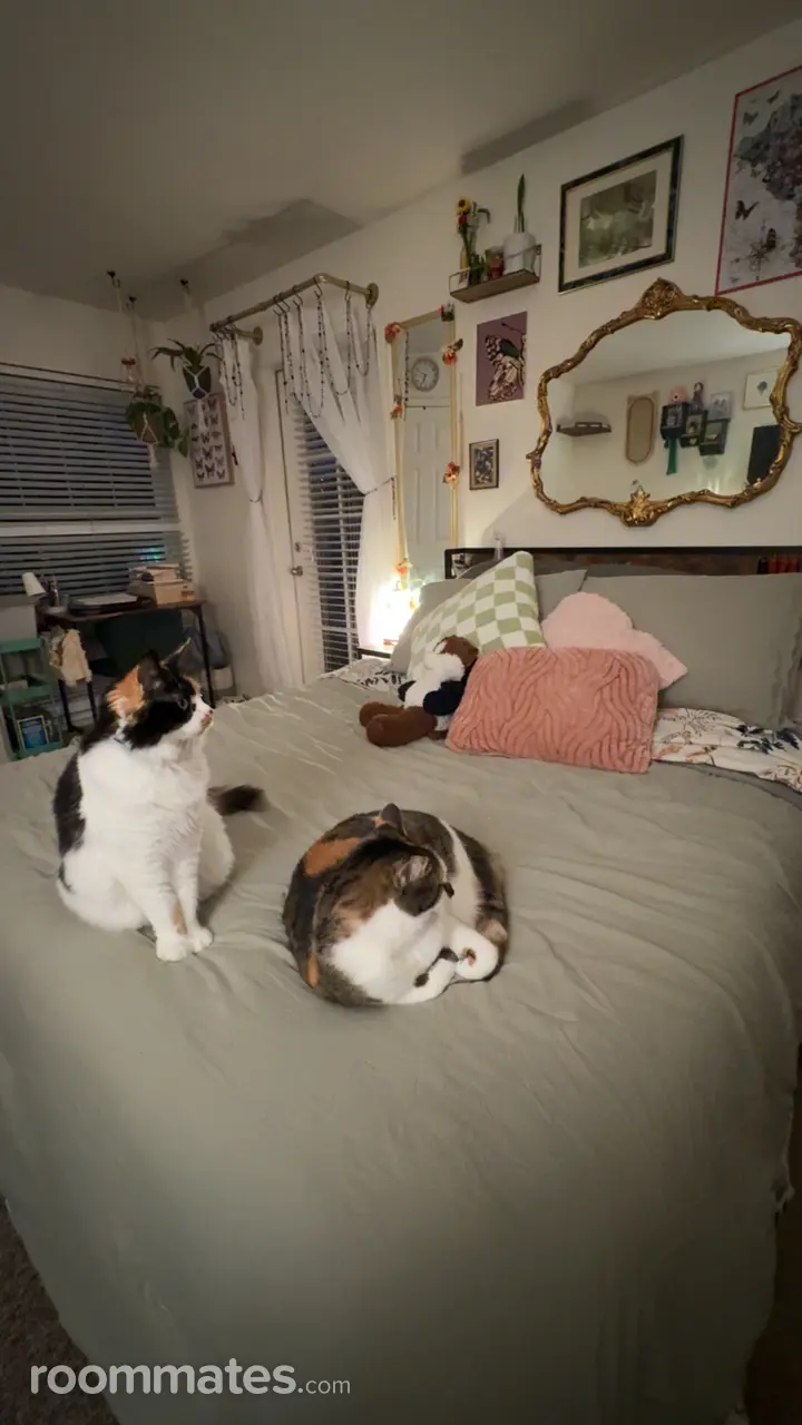 Profile photo 7 of 10