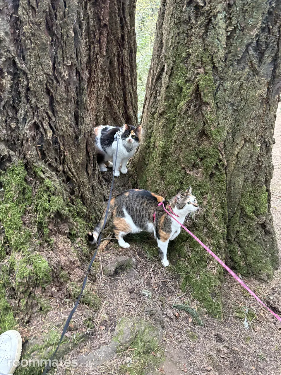 Profile photo 6 of 10