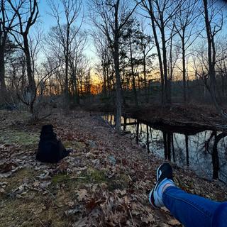 Room for rent in Georgetown, MA $1600, house