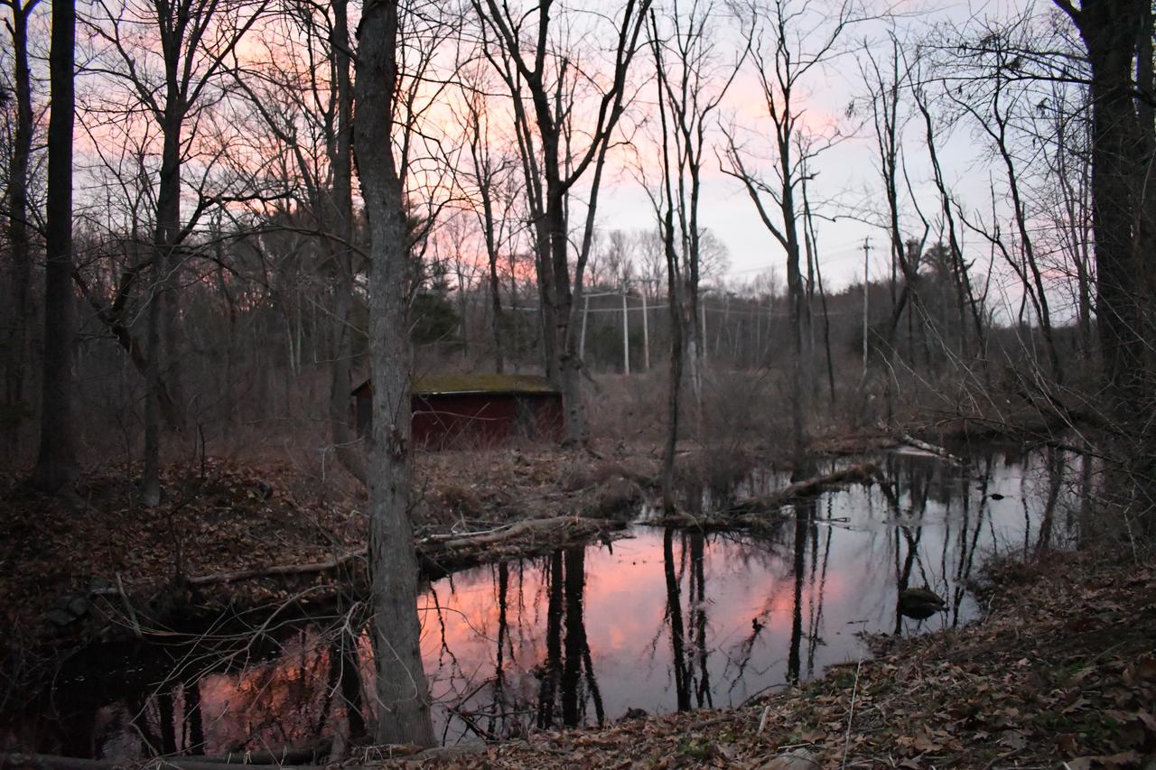 Profile photo 2 of 8