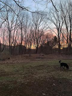 Room for rent in Georgetown, MA $1600, house