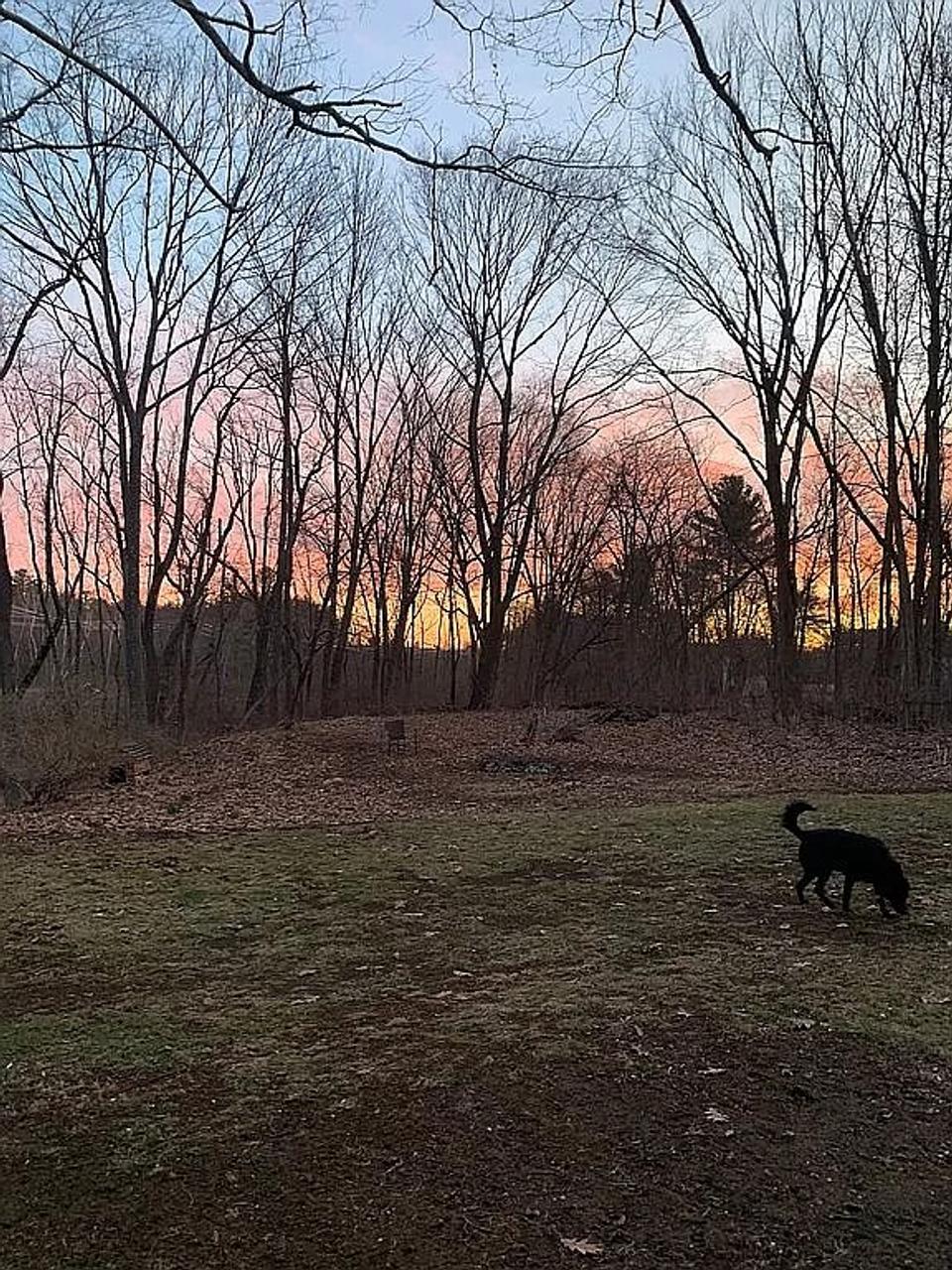 Profile photo 4 of 8