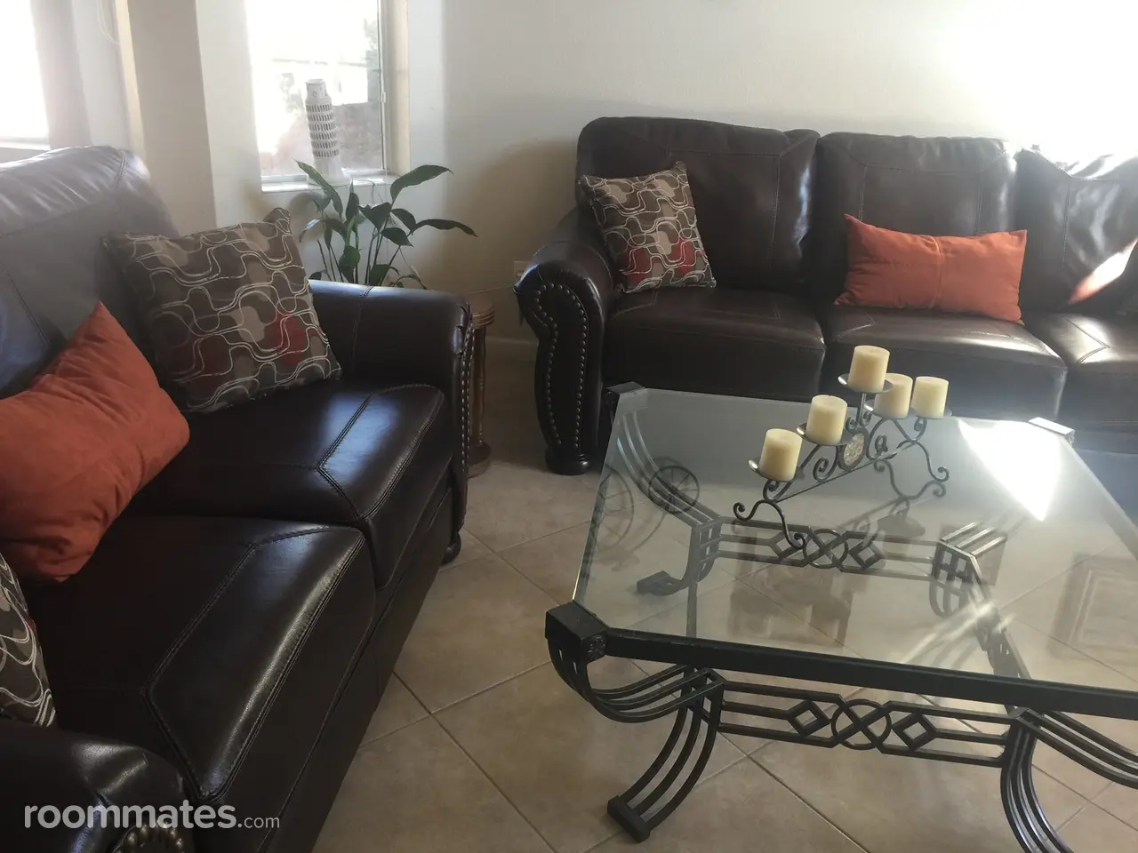 Profile photo 10 of 11