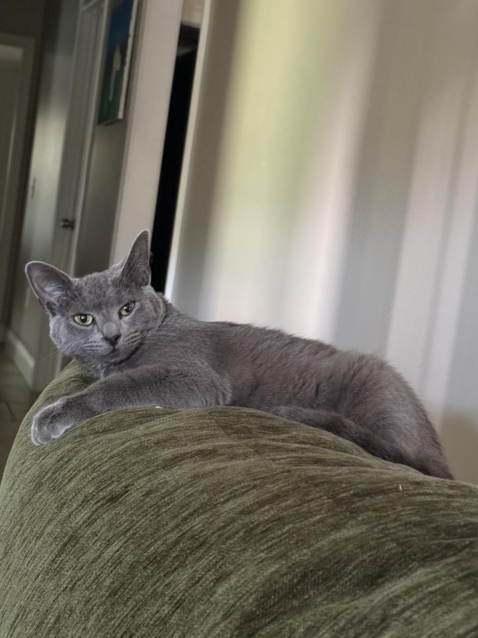 Profile photo 2 of 3