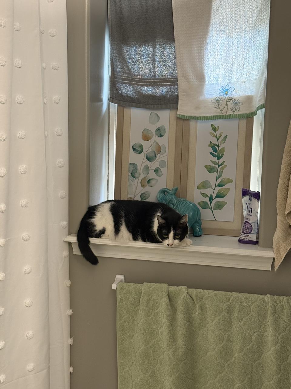 Profile photo 3 of 3