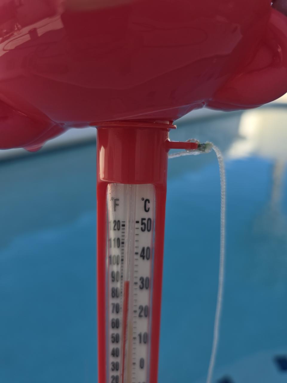 Profile photo 5 of 9