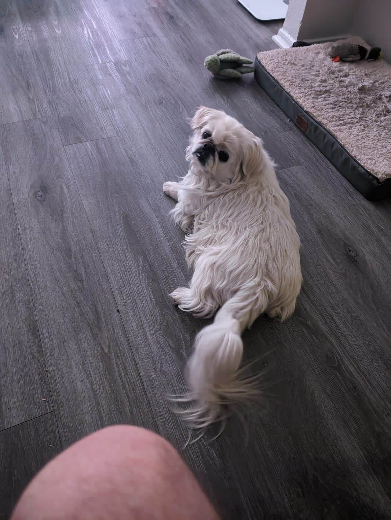 Profile photo 1 of 2