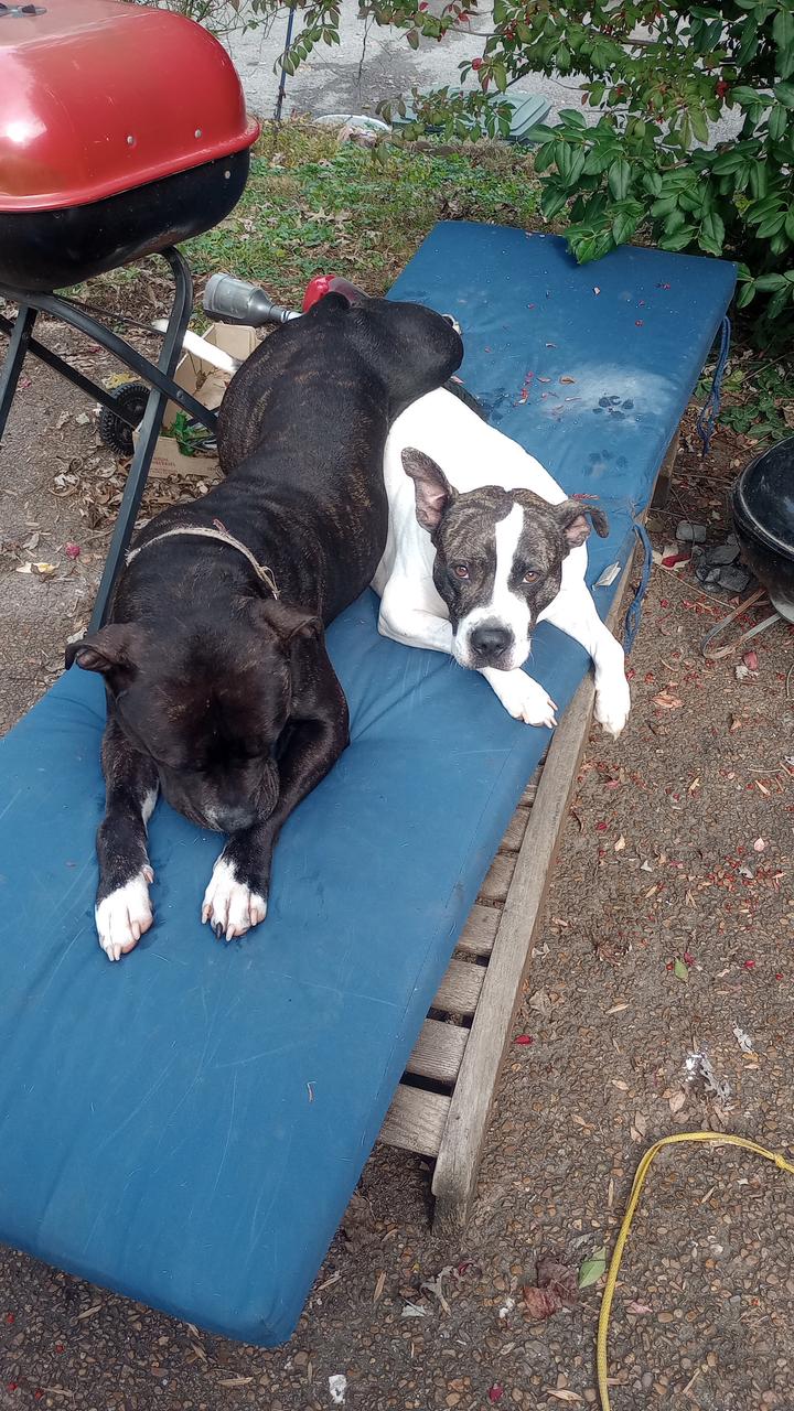 Profile photo 2 of 4