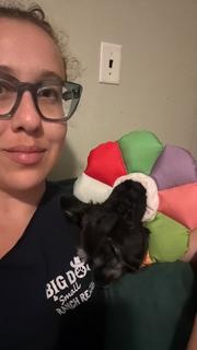 Roommate looking Fairfax, VA, $800
