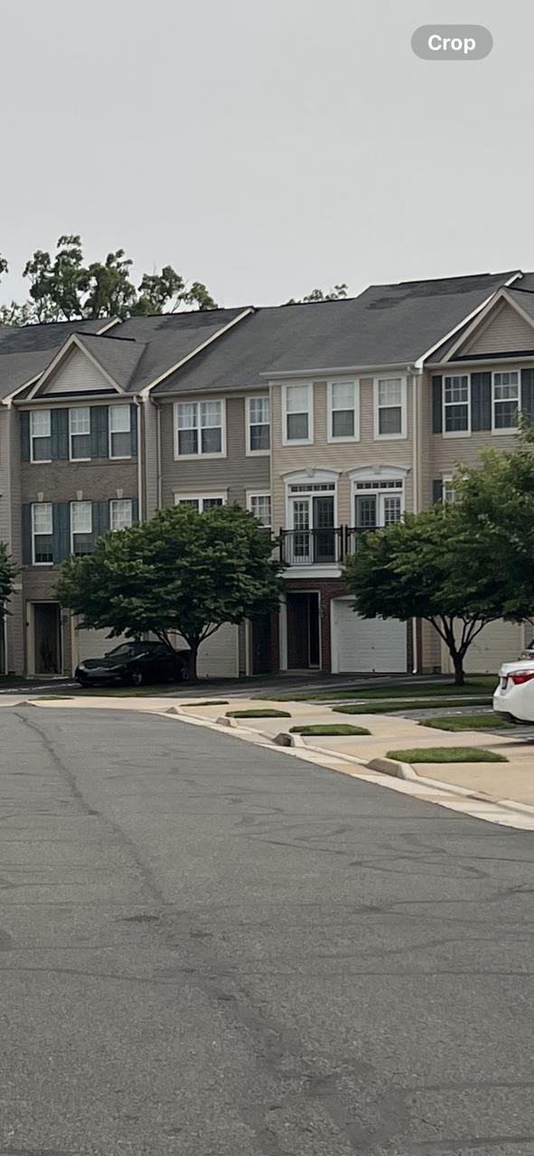 Profile photo 1 of 11