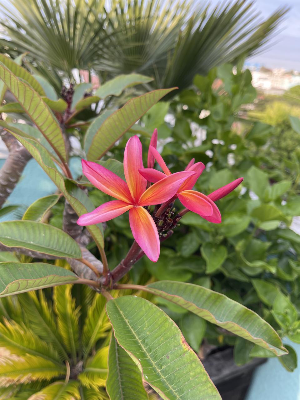 Profile photo 8 of 9