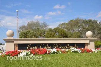 Room for rent in Oldsmar, FL $1175, condo