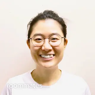 Roommate looking Chicago, IL, $1400