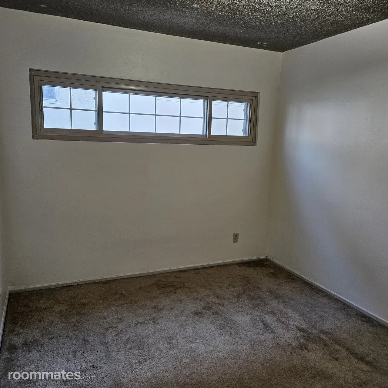 Profile photo 3 of 12