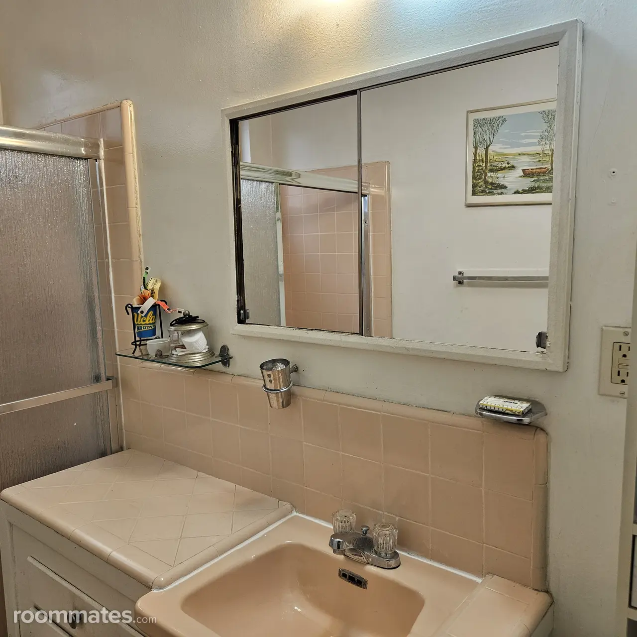 Profile photo 6 of 12