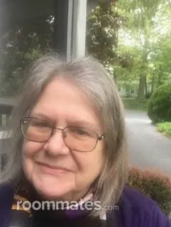 Room for rent in Millsboro, DE $850, condo