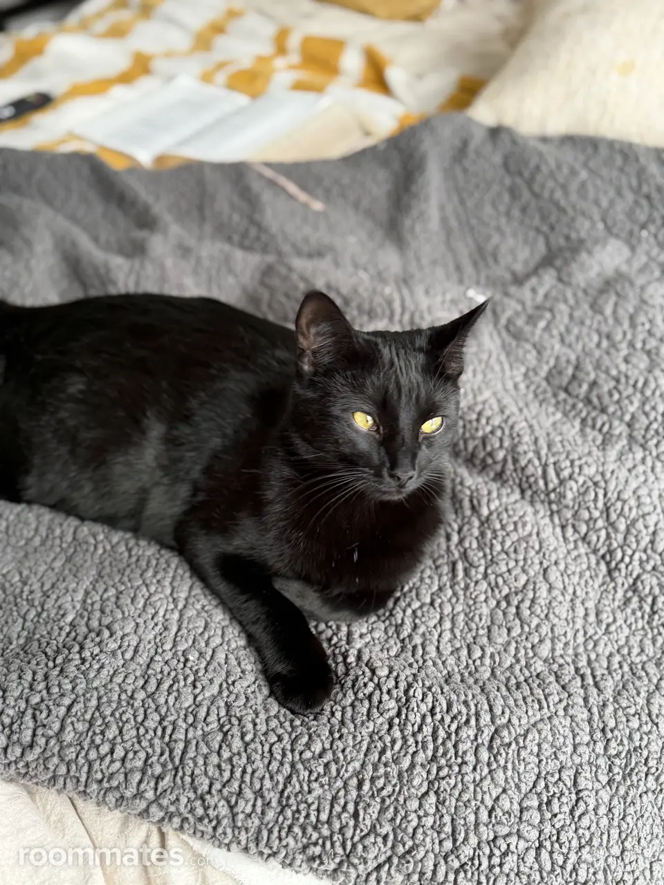 Profile photo 2 of 5