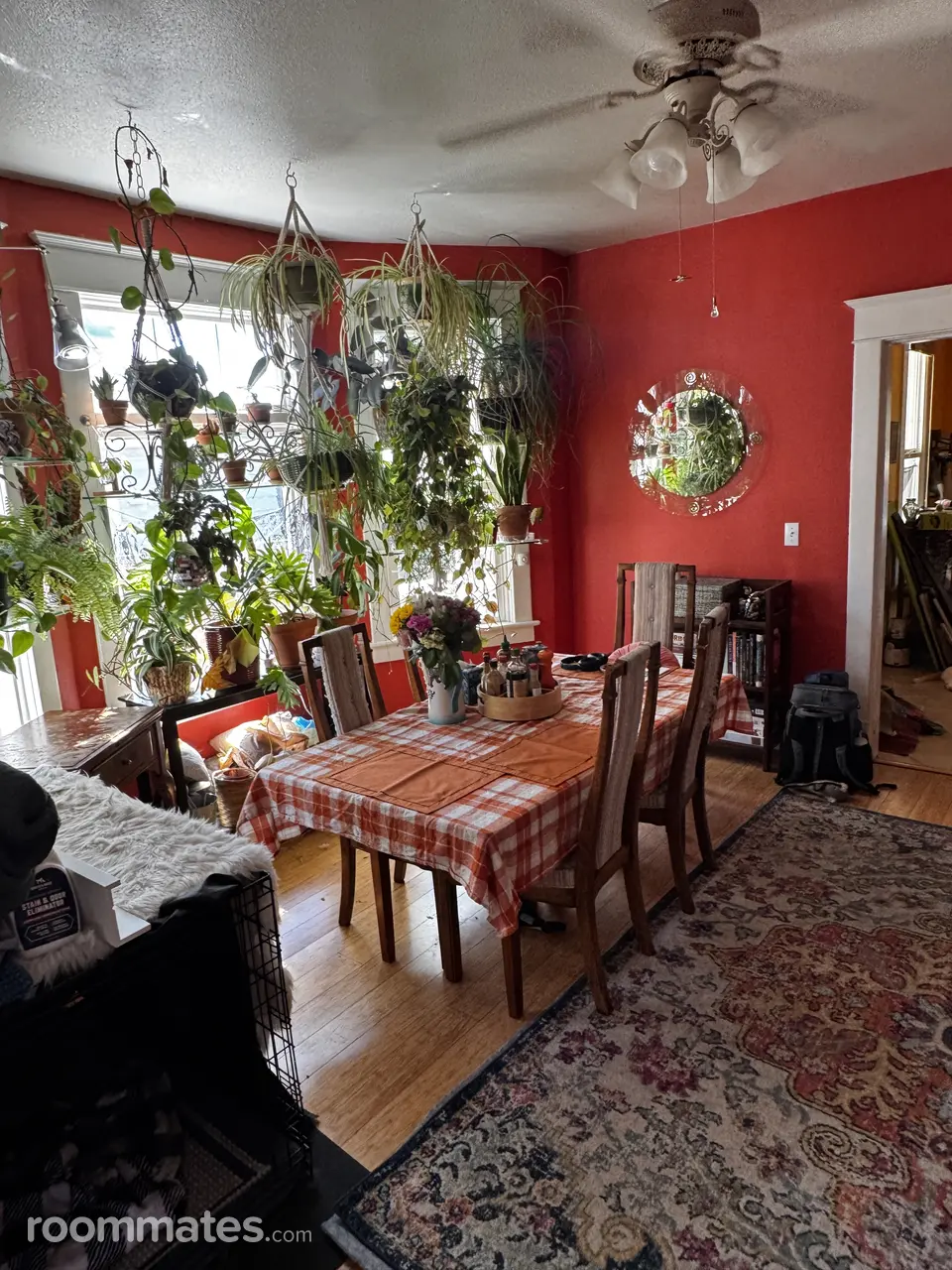 Profile photo 4 of 8