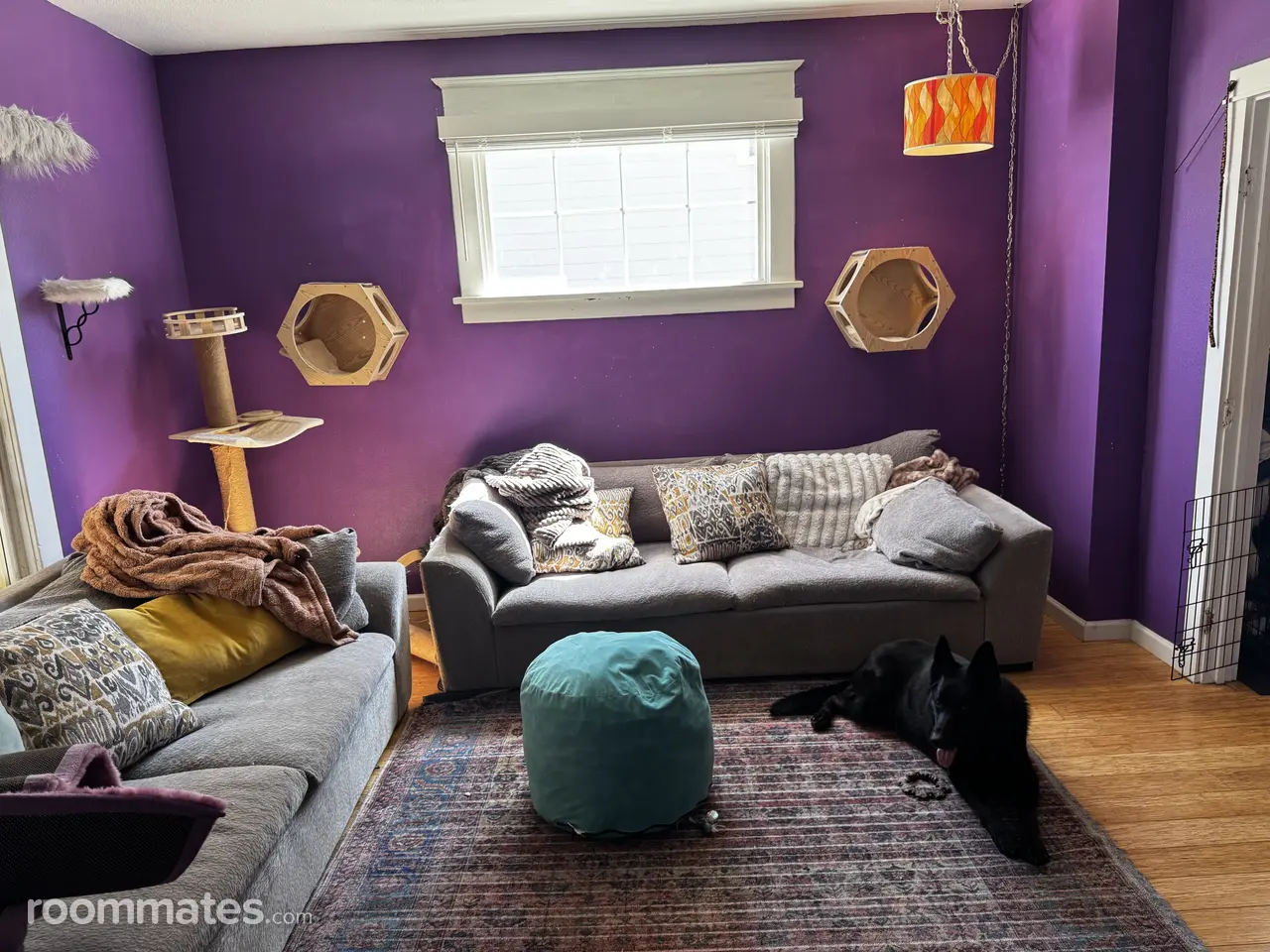 Profile photo 2 of 8