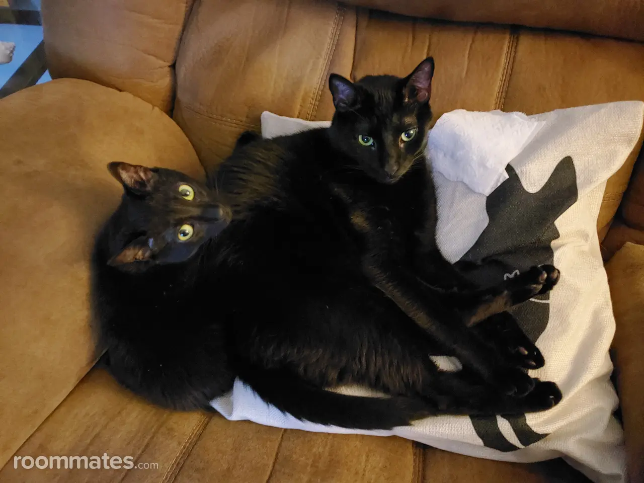 Profile photo 2 of 2