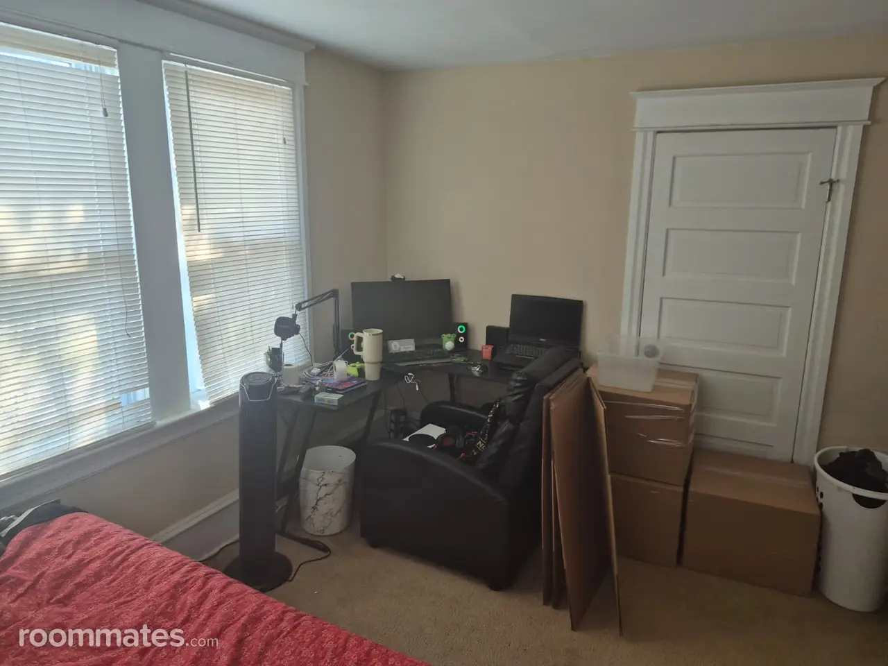 Profile photo 7 of 11